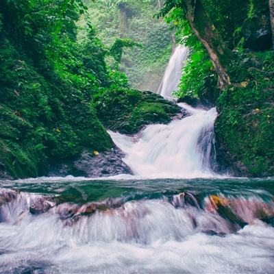 大圣轮回送红包游戏下载